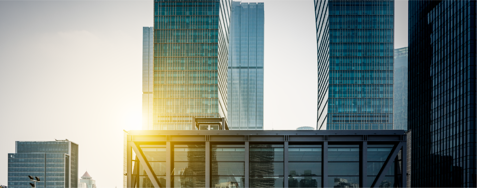 EC事業について